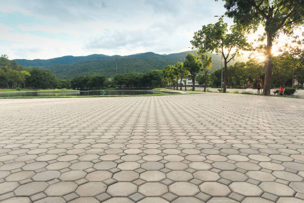 Best Professional Driveway Pavers  in Eutaw, AL