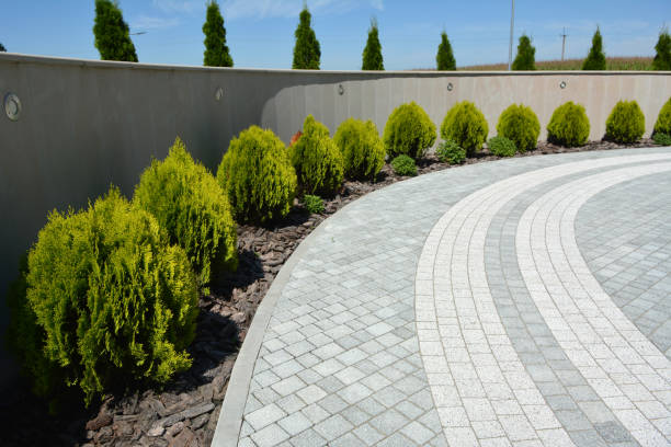 Professional Driveway Pavers in Eutaw, AL